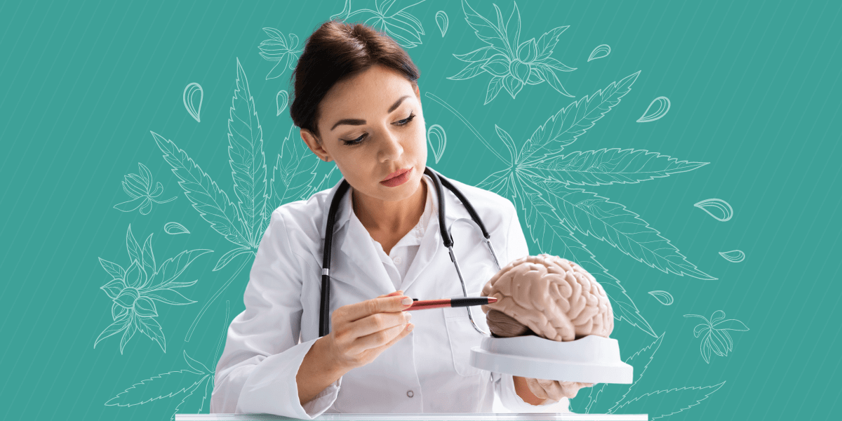 Is Weed Bad for Your Brain