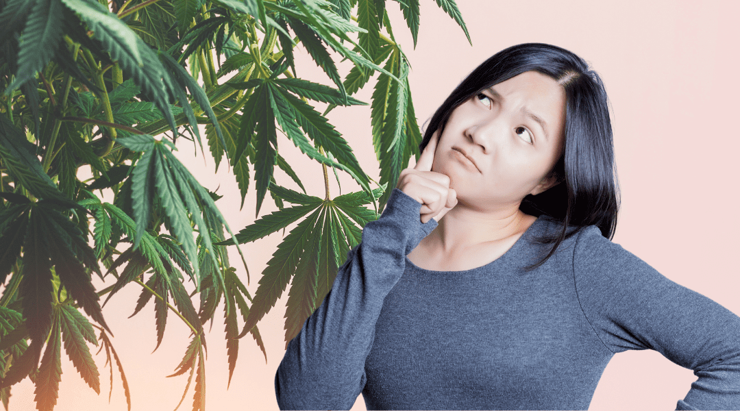 Long-Term Side Effects of Marijuana Usage