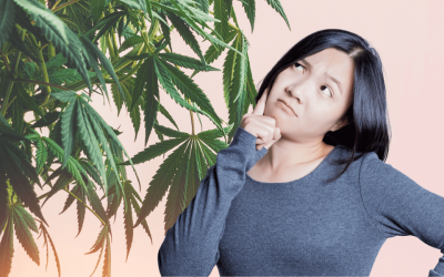 Long-Term Side Effects of Marijuana Usage