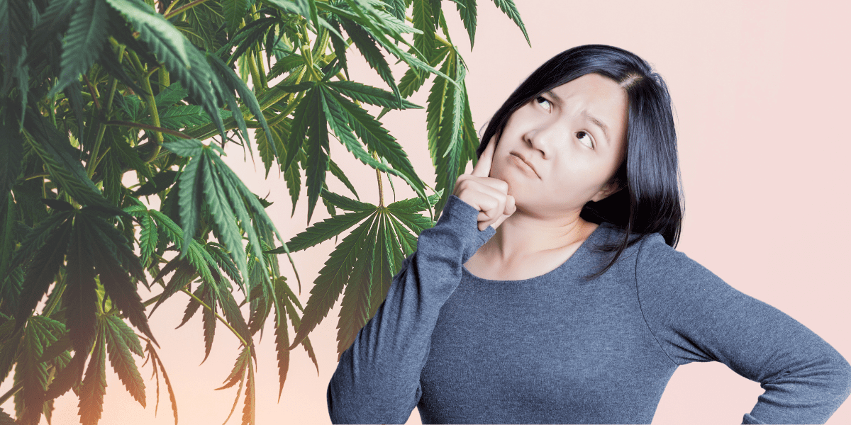 Long-Term Side Effects of Marijuana Usage