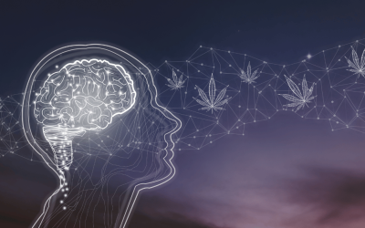 How Marijuana Affects Your Brain
