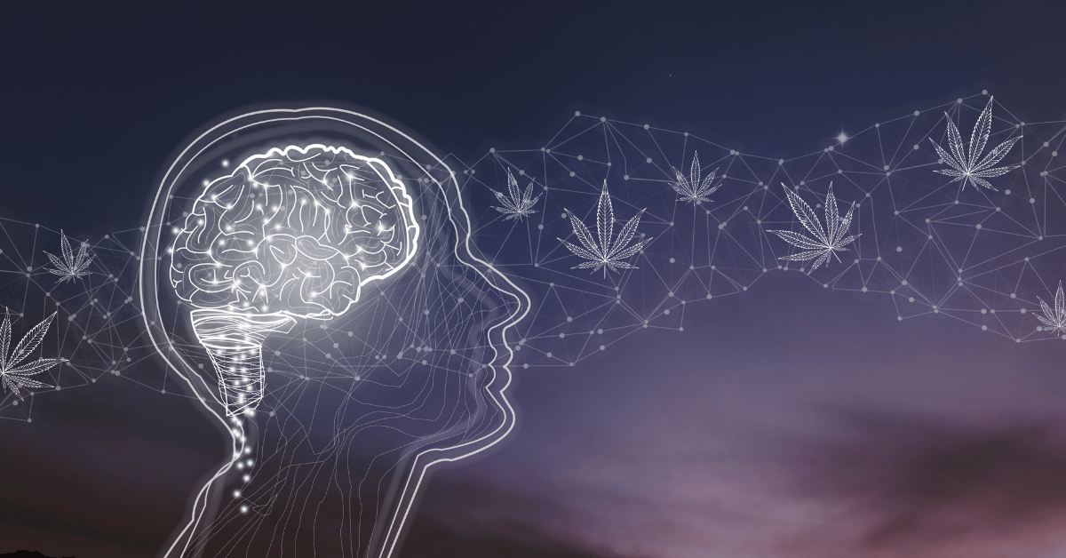 How Marijuana Affects Your Brain