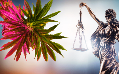 Can You Use Medical Marijuana on Probation?