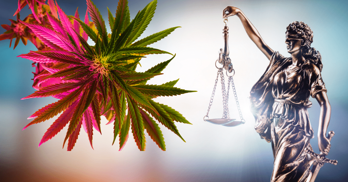 Can You Use Medical Marijuana on Probation?