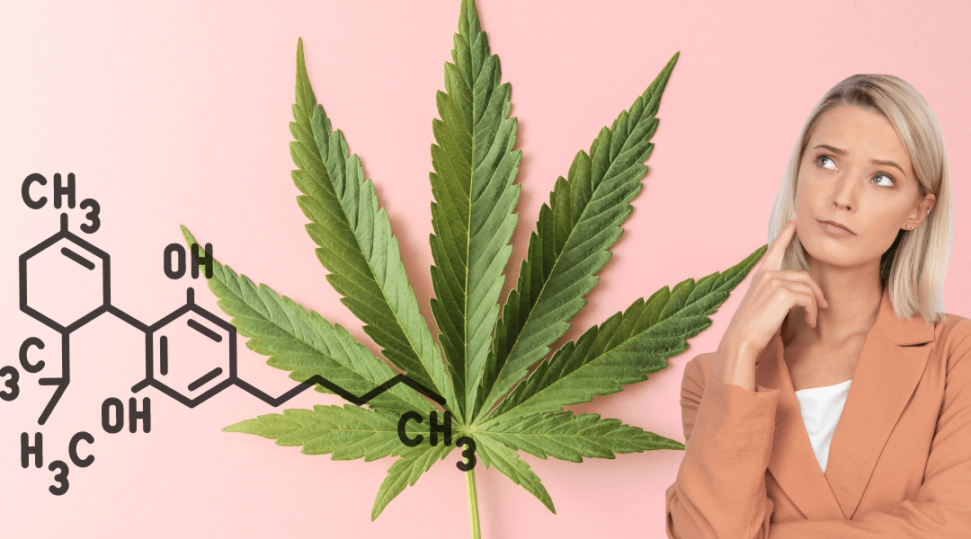 What Is THC?