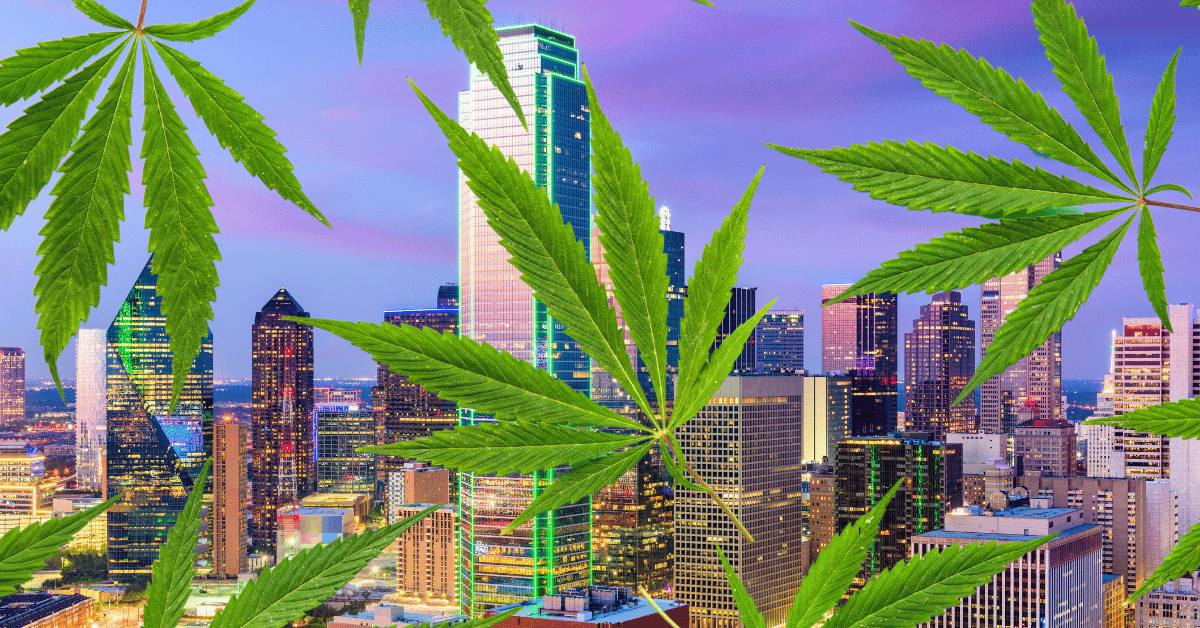 dallas medical marijuana