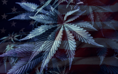 The Evolution of Marijuanas