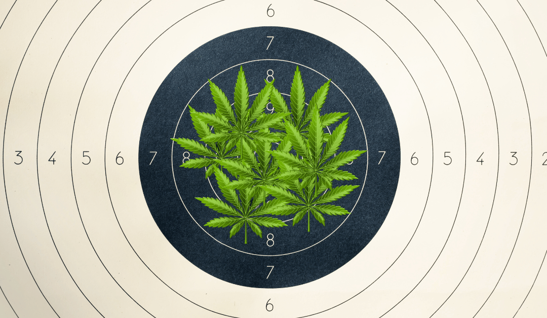 Permitless Carry Gun Bill and Florida Medical Marijuana