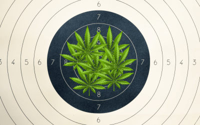 Permitless Carry Gun Bill and Florida Medical Marijuana
