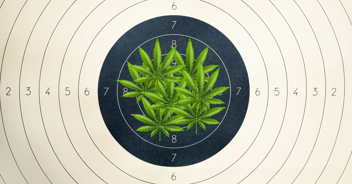 Permitless Carry Gun Bill and Florida Medical Marijuana