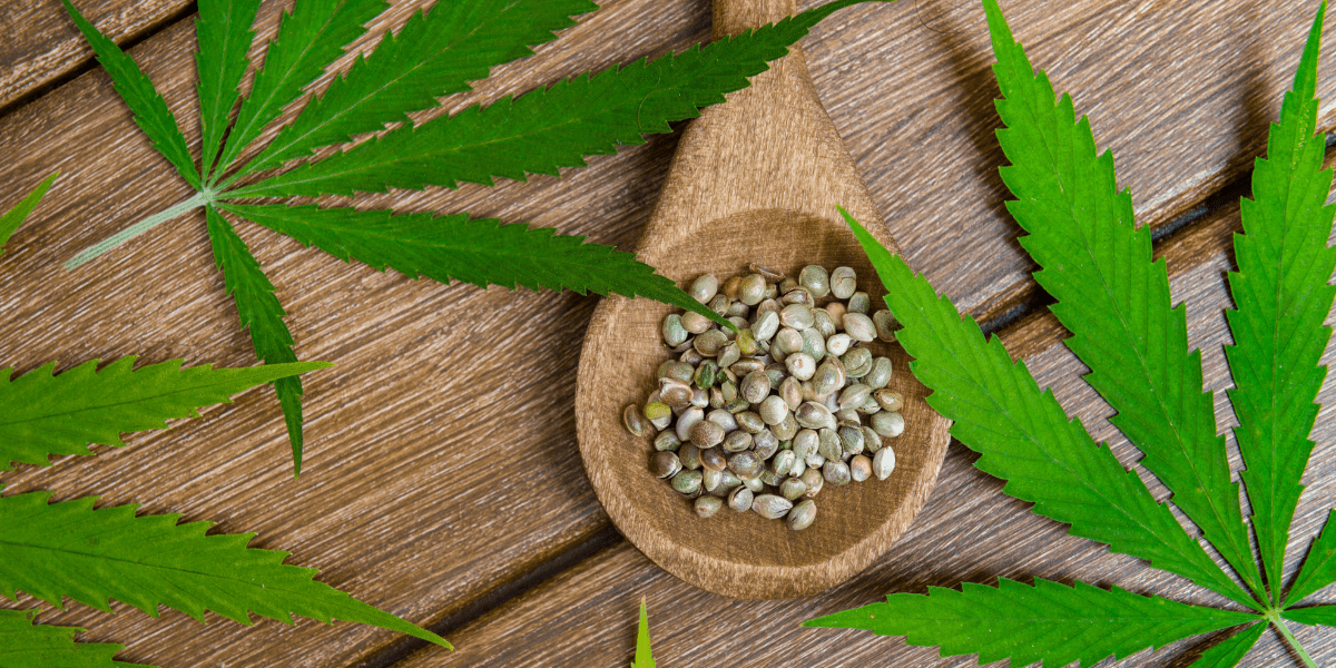 how to cook with cannabis seeds