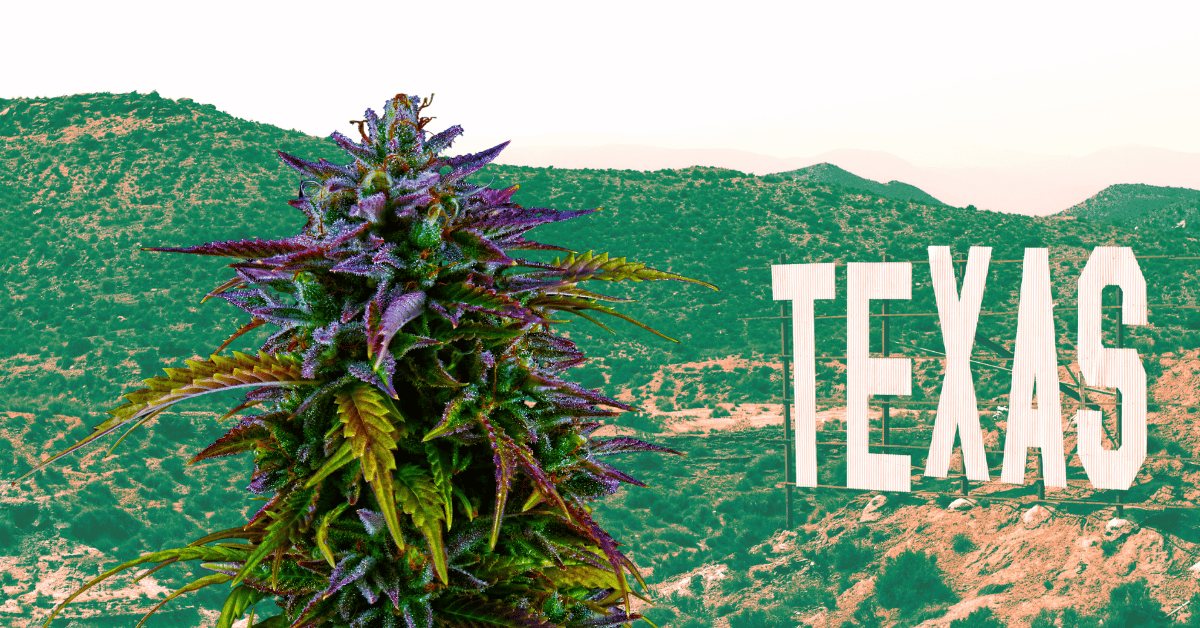 Understanding Texas Marijuana Laws