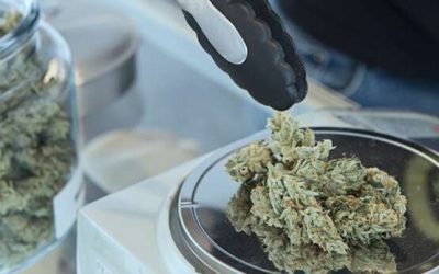 What is the VA Policy On Veterans and Medical Marijuana