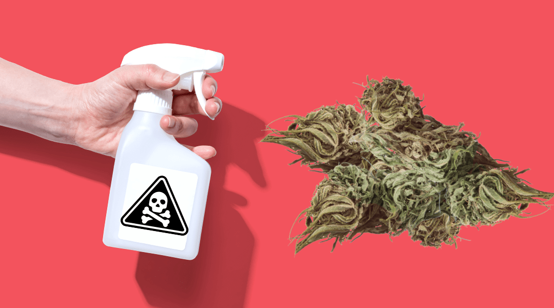 What Is Synthetic Marijuana?