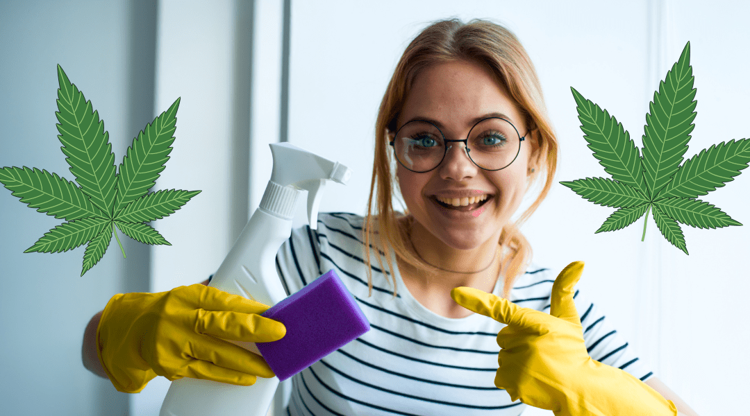 4 Non Toxic Ways to Clean Your Cannabis Rigs