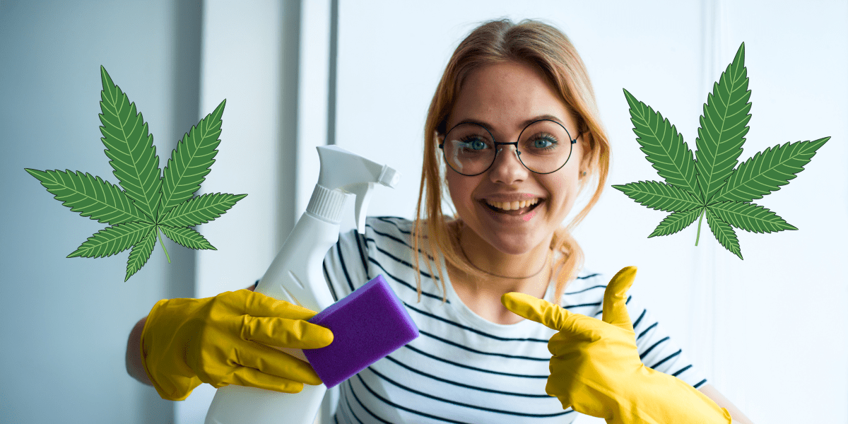 4 Non Toxic Ways to Clean Your Cannabis Rigs