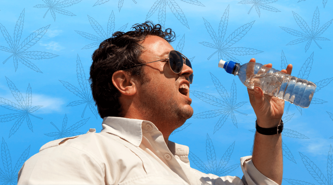 Cannabis & Cotton Mouth: What Causes It & How to Avoid It