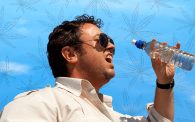 Cannabis & Cotton Mouth: What Causes It & How to Avoid It