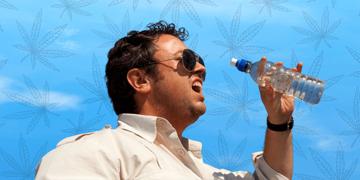 Cannabis & Cotton Mouth: What Causes It & How to Avoid It