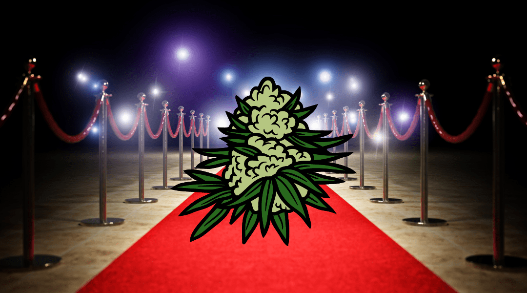 High Rolling? The Top Five Most Expensive Strains in the World