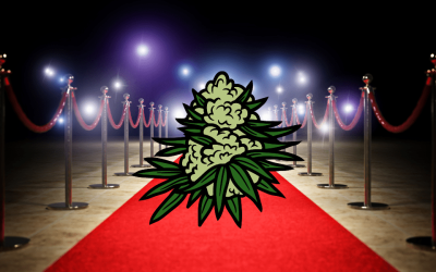 High Rolling? The Top Five Most Expensive Strains in the World