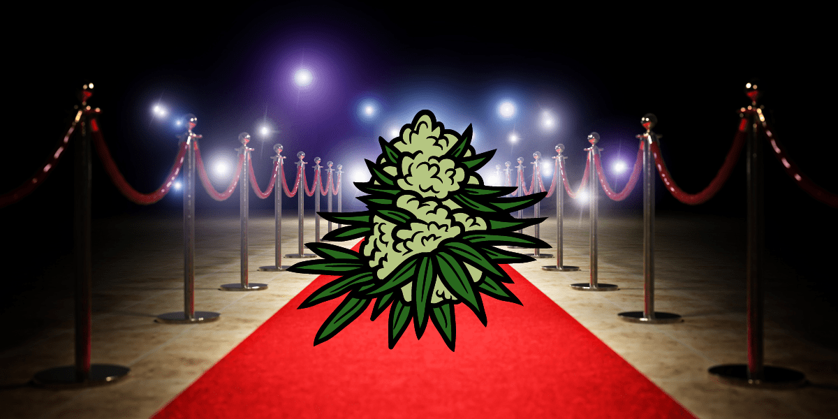 High Rolling? The Top Five Most Expensive Strains in the World
