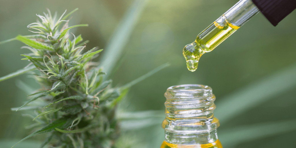 medical cannabis