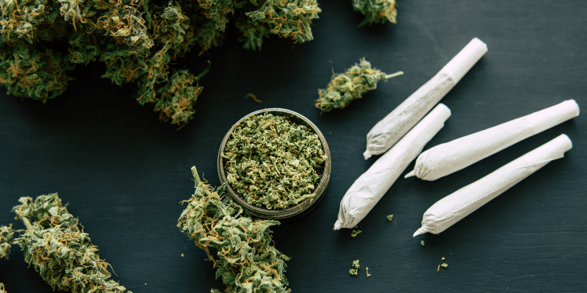 most expensive cannabis strains