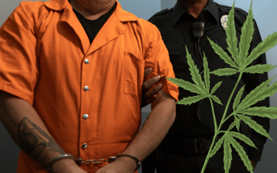 Could Medical Cannabis Reduce Prison Overdose Deaths?