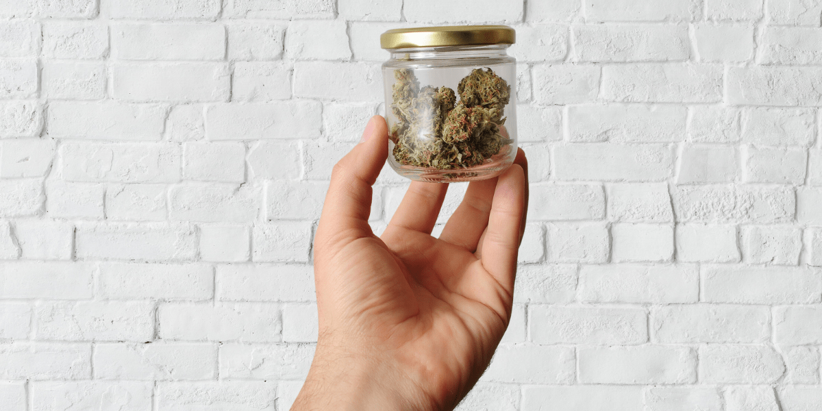 stored cannabis