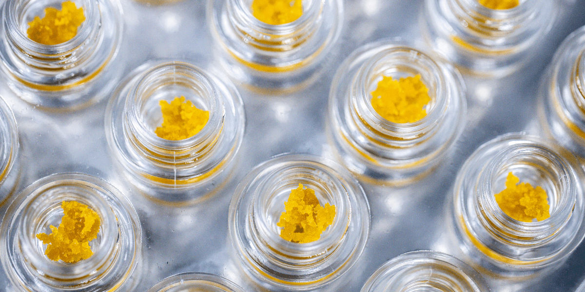 thc concentrates