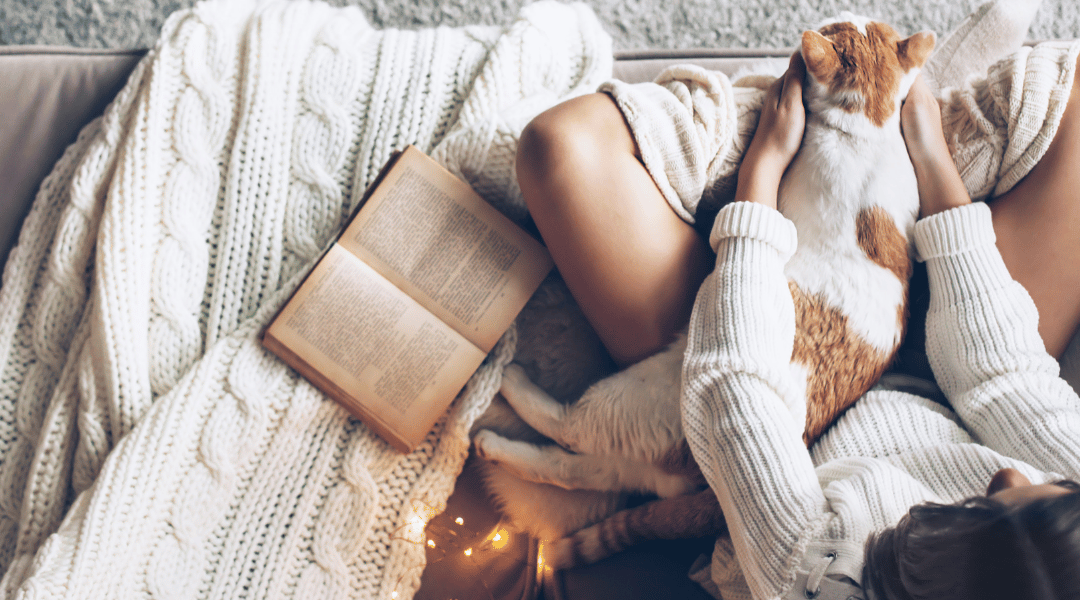 Discover the Perfect Cannabis Strains for Cozy Fall Nights