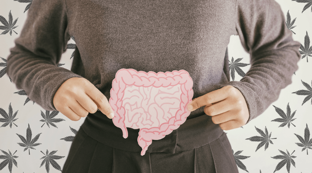 Cannabinoids and the Gut Microbiome