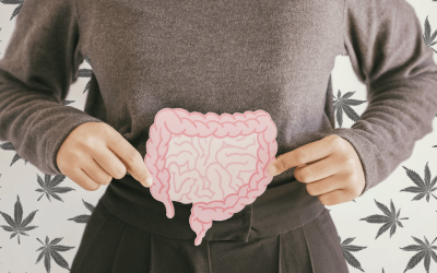 Cannabinoids and the Gut Microbiome