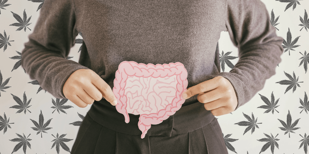 Cannabinoids and the Gut Microbiome