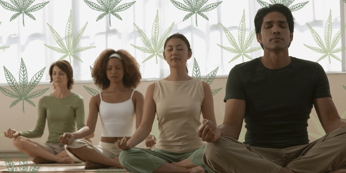 meditation and marijuana a holistic approach to wellness
