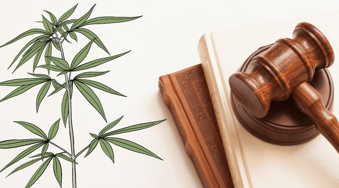 2024 Outlook for Medical Marijuana