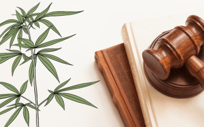 2024 Outlook for Medical Marijuana