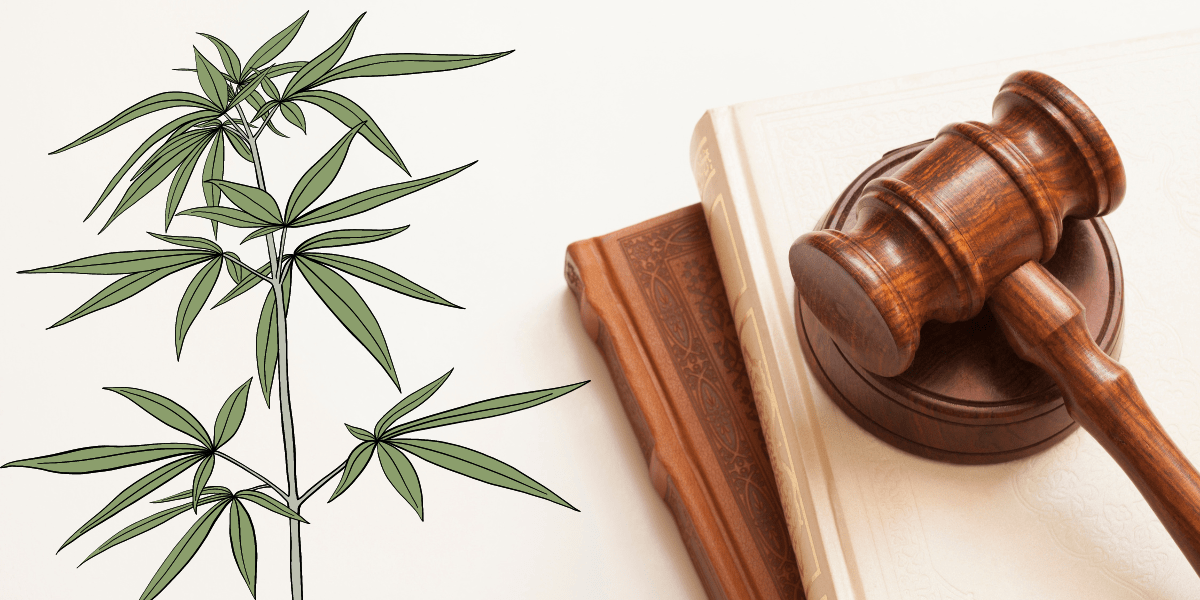 2024 Outlook for Medical Marijuana