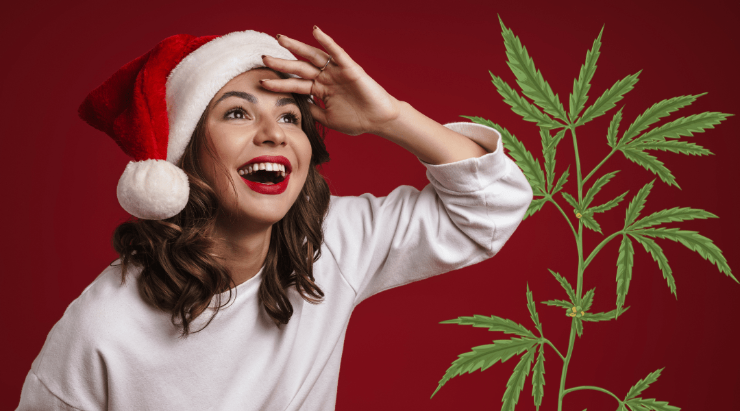 High Energy Strains to Power Through the Holiday Season