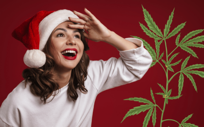 High Energy Strains to Power Through the Holiday Season