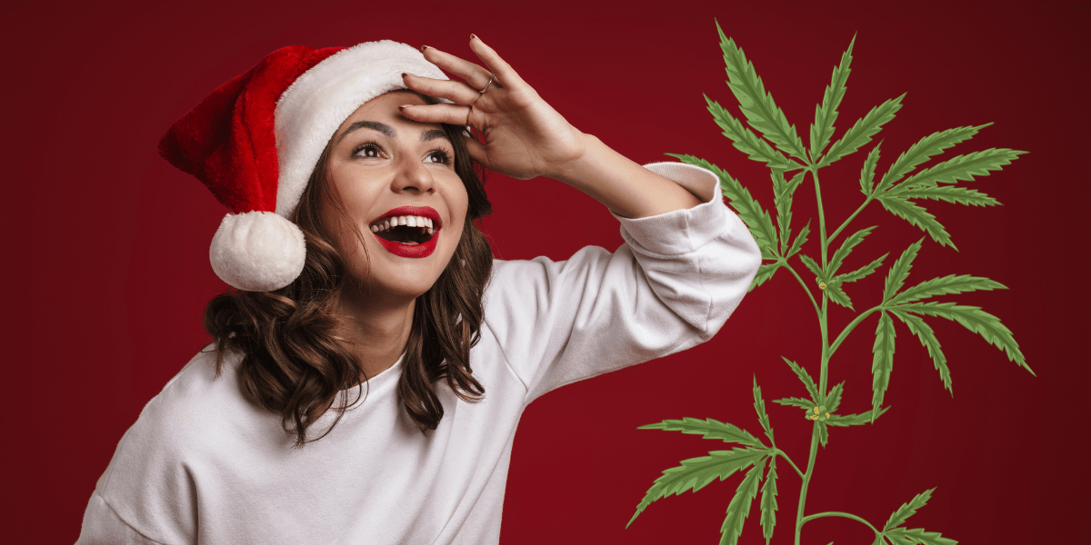 High Energy Strains to Power Through the Holiday Season