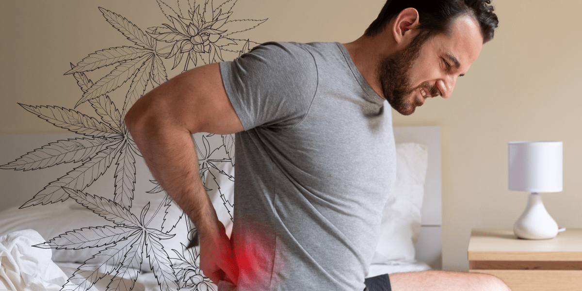 how can medical cannabis help patients with back pain