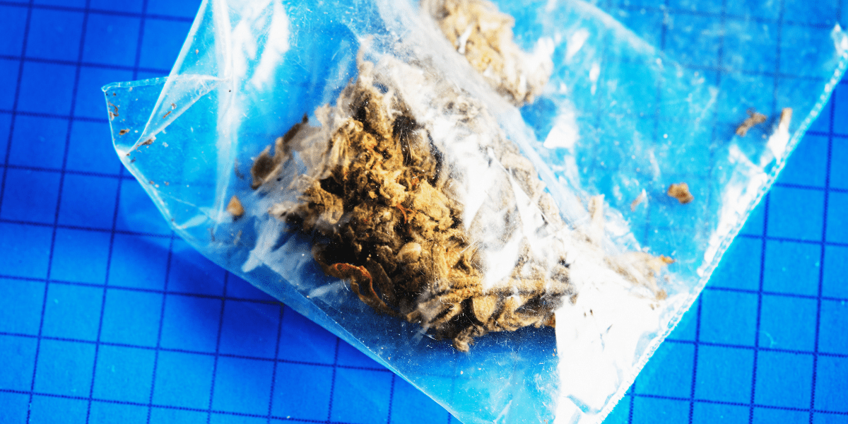 mmj storage donts