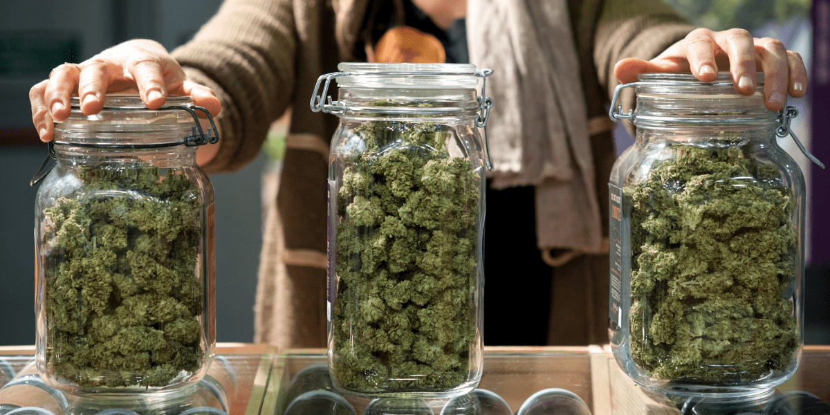 mmj storage