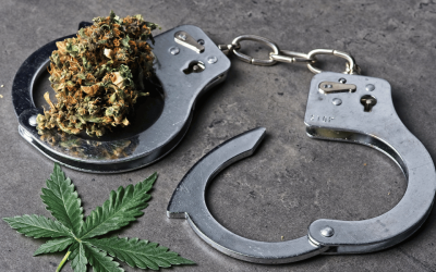 What Are the Differences Between Decriminalization and Recreational Use?