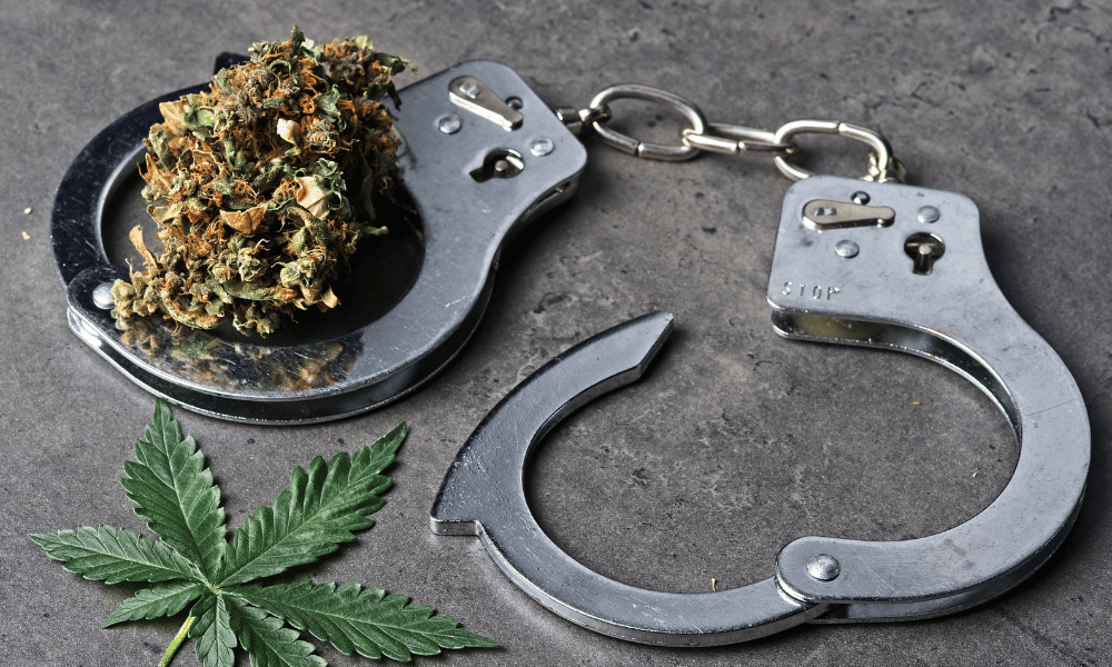 What Are the Differences Between Decriminalization and Recreational Use?
