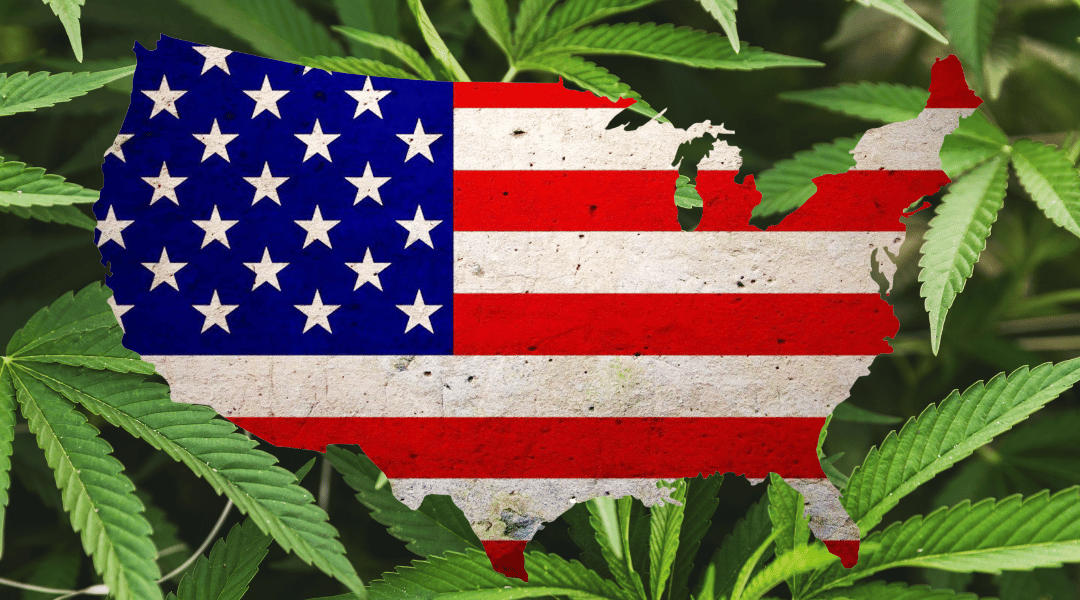 What States Can You Get Medical Marijuana for Mental Health Conditions?