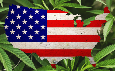 What States Can You Get Medical Marijuana for Mental Health Conditions?