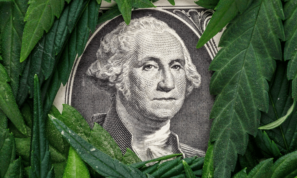 cannabis legalization